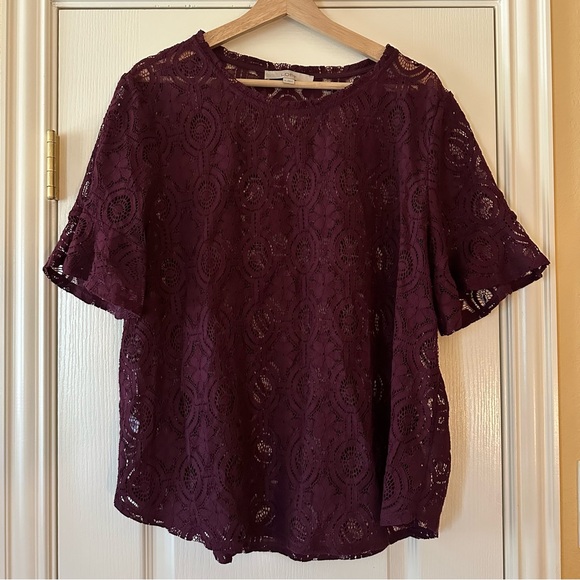 Loft Lace Shell - Picture 2 of 6